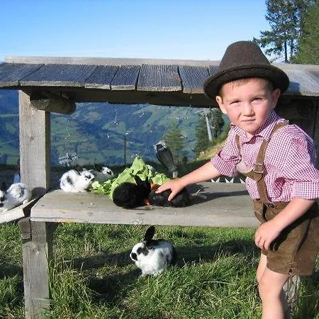 Buchauhutte * Sankt Johann im Pongau